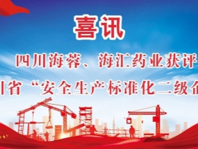 海蓉、海匯藥業(yè)獲評“安全生產(chǎn)標(biāo)準(zhǔn)化二級企業(yè)”